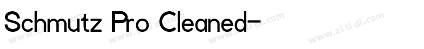 Schmutz Pro Cleaned字体转换